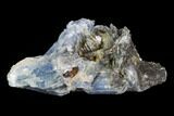 Vibrant Blue Kyanite Crystal Cluster - Brazil #97951-1